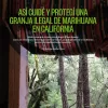 Así cuidé y protegí una granja ilegal de marihuana en California 