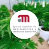 La Agencia del Medicamento entrega nuevas licencias de cannabis sin explicar nada