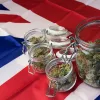 Un parlamentario birtánico presenta un proyecto para mejorar el acceso al cannabis medicinal
