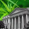 Propuestas legislativas y políticas sobre el cannabis en España, un resumen del año