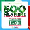 Activistas italianos consiguen las firmas necesarias para el referéndum sobre el cannabis 