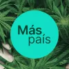 El Congreso vota hoy la tramitación del proyecto de regulación del cannabis de Más País