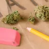 El consumo de cannabis entre adolescentes descendió significativamente en EE UU durante 2021