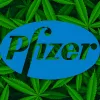 Pfizer entra en el cannabis medicinal tras adquirir una empresa que investiga fármacos cannábicos 
