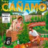 Revista Cáñamo #291