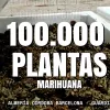 La Guardia Civil incauta 100.000 plantas de CBD a una empresa española