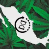 Los legisladores mexicanos siguen retrasando la regulación del cannabis