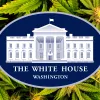 La Casa Blanca sigue poniendo pegas a los trabajadores que usan cannabis