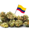 El Congreso de Colombia pone rumbo a la despenalización del cannabis 
