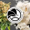 La DEA está a punto de legalizar un derivado de la cocaína