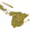 Repasamos lo ocurrido con el cannabis en España durante esta legislatura que acaba
