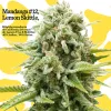 Mandanga presenta la cepa #12: Lemon Skittles