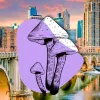 Perseguir el uso de psicodélicos es ahora la última prioridad de la policía de Minneapolis