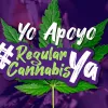 La regulación del cannabis en Colombia vuelve al Congreso y supera la primera votación