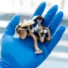La DEA propone duplicar la cantidad de psilocibina y THC producida para investigar 
