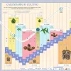 Calendario biodinámico Febrero 2024 Cáñamo 314