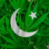 Pakistán promulga la ley que permitirá el uso medicinal del cannabis