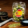 España es el país de la Unión Europea donde más cannabis ilegal se vende