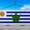 Uruguay exportó casi 25 millones de euros en productos derivados del cannabis