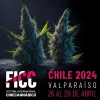 El Festival Internacional de Cine Cannábico vuelve a Chile