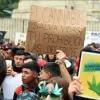 Varios países de Latinoamérica se movilizaron por la Marcha Mundial de la Marihuana