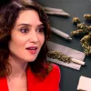 Ayuso prepara una ley para prohibir el acceso al cannabis en Madrid