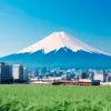 Japón organizó su primera conferencia internacional sobre el cáñamo