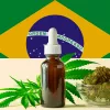 Un estado de Brasil legaliza el cannabis medicinal