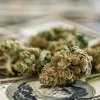 Las ventas de cannabis de uso recreativo en Ohio superaron los 124 millones de euros