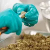 Ucrania tendría sus primeros productos medicinales de cannabis a principios del 2025
