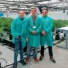 Dos empresas en España se unen para producir cannabis con fines medicinales