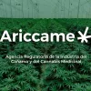 Argentina establece un procedimiento de sanciones para las infracciones en la industria del cannabis