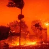 Los incendios forestales de California amenazan a la industria del cannabis