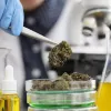 Una universidad brasileña analizará gratis el cannabis medicinal que se produce en San Pablo