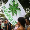 La Justicia brasileña ratificó la despenalización del cannabis para consumo personal