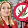 Giorgia Meloni emite un nuevo decreto que prohíbe todos los derivados del cannabis, incluido el CBD