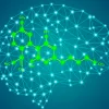 Investigadores canadienses prueban efectos positivos del CBD en la memoria