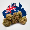 Crece el apoyo al cannabis legal en Australia: el 48% ya está a favor