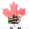 Canadá consolida su mercado de cannabis con más de 3.700 tiendas