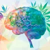 Pacientes con síndrome de Rett ven en el cannabidivarin una nueva esperanza