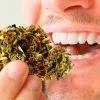 Siete formas de usar cannabis sin recurrir a la combustión