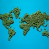 El mercado de cannabis global duplicará su valor en 2033