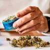 Adultos mayores que usan cannabis no muestran déficit cognitivo