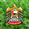Emiratos Árabes regula el cáñamo industrial 
