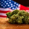 Cinco estados ajustan reglas de cannabis y cáñamo en 2026 en EE UU
