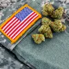 Veteranos usan cannabis medicinal aunque lo ocultan a sus médicos tratantes