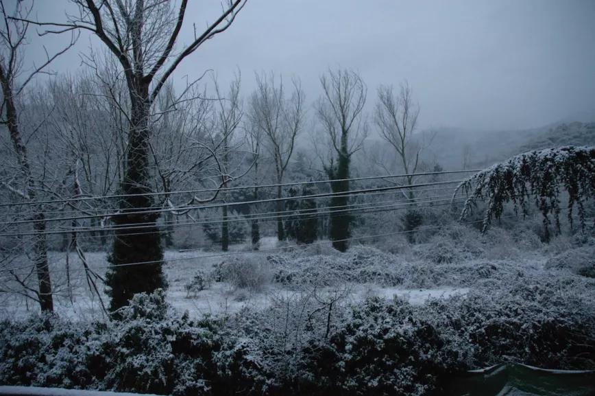 En zonas muy frías hay que arar y estercolar el suelo antes de que las heladas lo endurezcan.