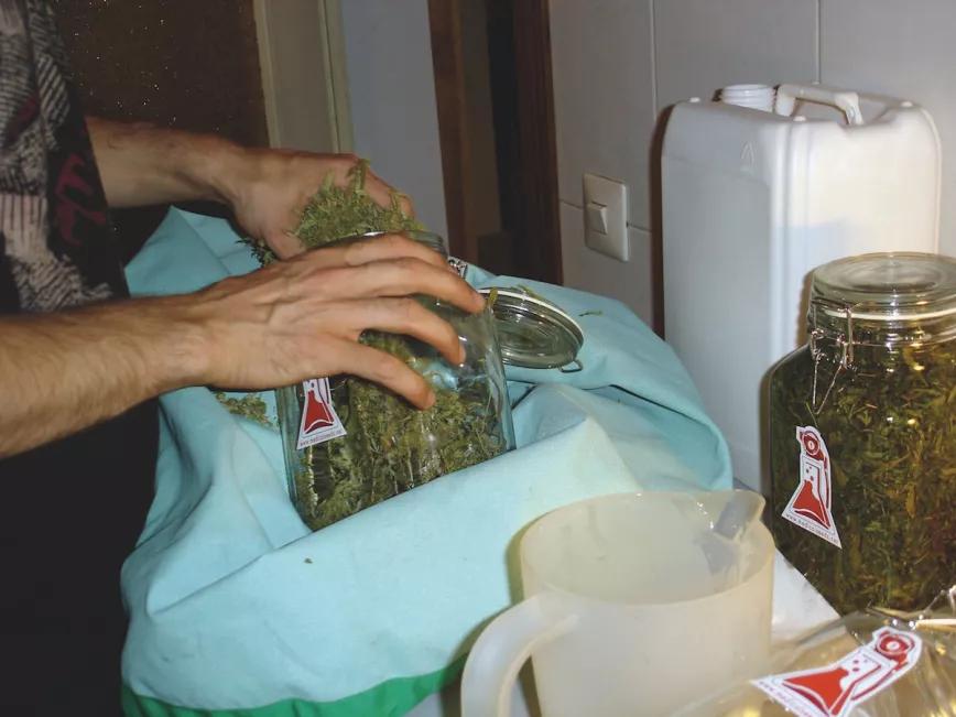 Aceite de almendras 04