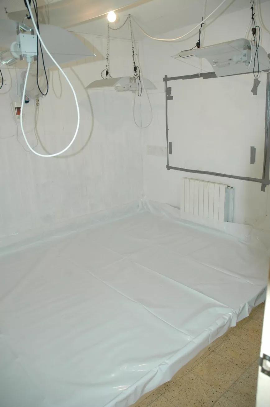 En este cultivo se optó por tapar la ventana con un tablero atornillado a la pared y encintar el borde para asegurarse de que no queda ninguna rendija por la que pueda pasar la luz.