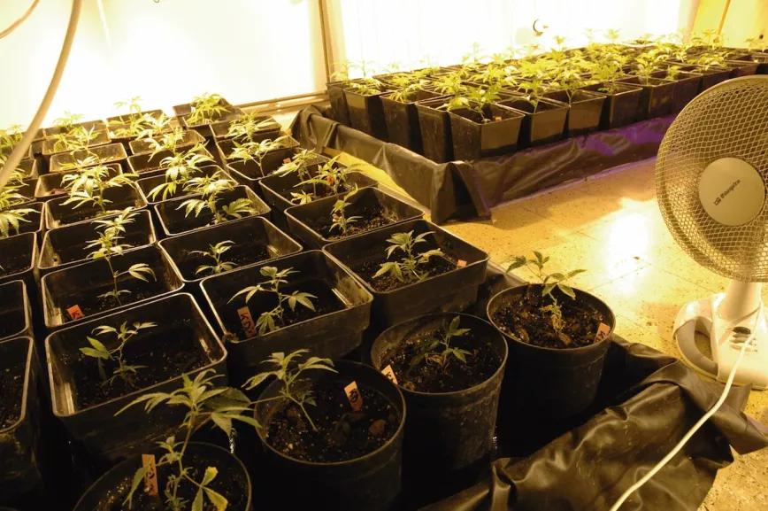 Ojo con los ventiladores viejos o en mal estado: su zumbido es muy molesto y puede oírse en otros pisos.